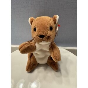 Rare TY Beanie Baby NUTS the Squirrel . 1996, Multiple Tag Errors, PVC Pellets